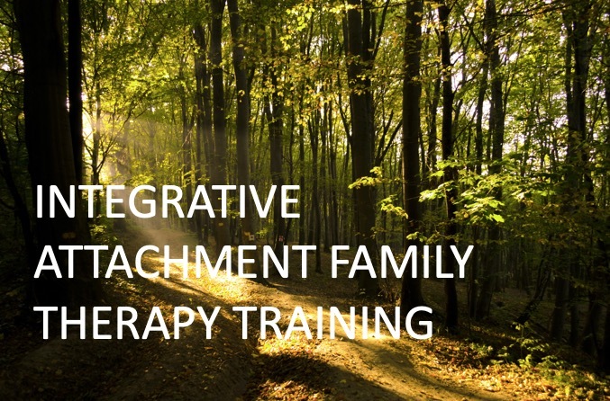 Integrated Attachment Family Therapy with Mentally Fit (with CE)