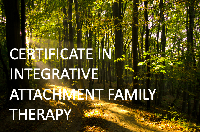 Integrated Attachment Family Therapy with Mentally Fit (without CE)